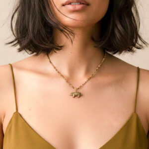 olho de tigre e prata